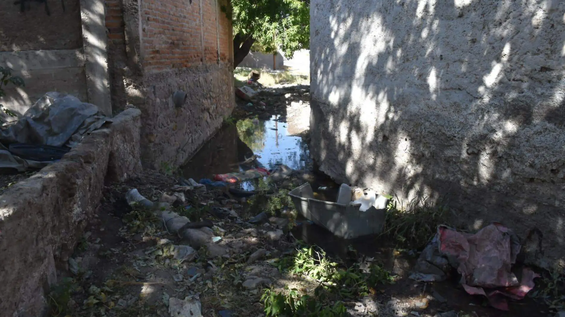 contaminación basura medioambiente